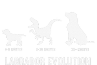 Labrador Retriever Evolution Design for a Labrador Owner Pajama Set