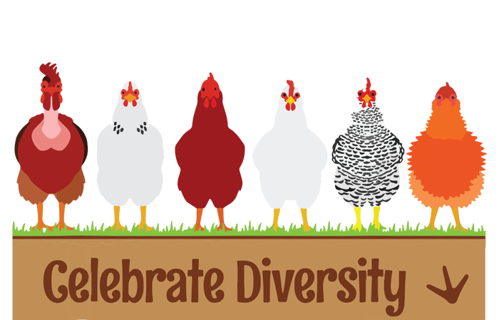 Celebrate Diversity Shirts For Chicken Lovers Funny Chicken Kids Hoodie