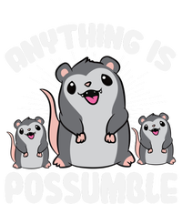 Funny Opossum Anything Is Possumble Cute Possum Family Cool Gift Striped Beanie with Solid Band