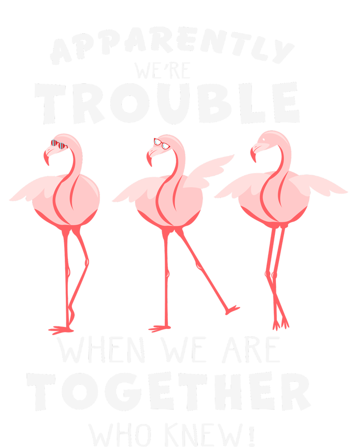 Apparently We're Trouble Flamingo Sustainable Knit Beanie