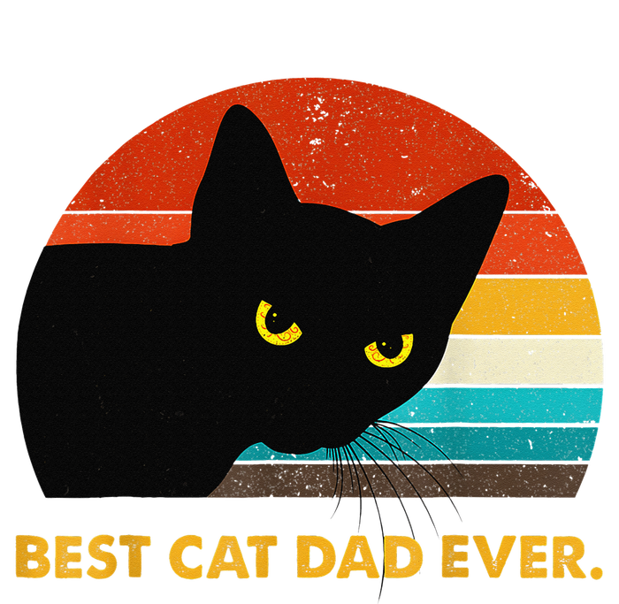 Best Cat Dad Ever Funny Black Cat Daddy Vintage Fathers Day Wool Snapback Cap