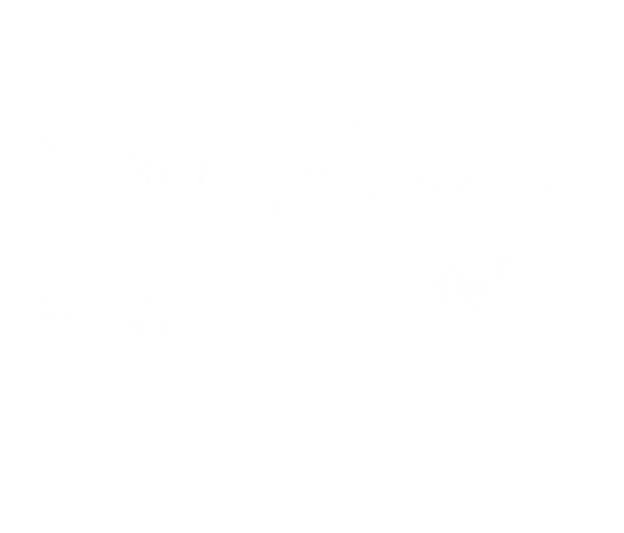 Airplane Mode Funny World Traveler Hiking Camping Holiday Meaningful Gift Bumper Sticker