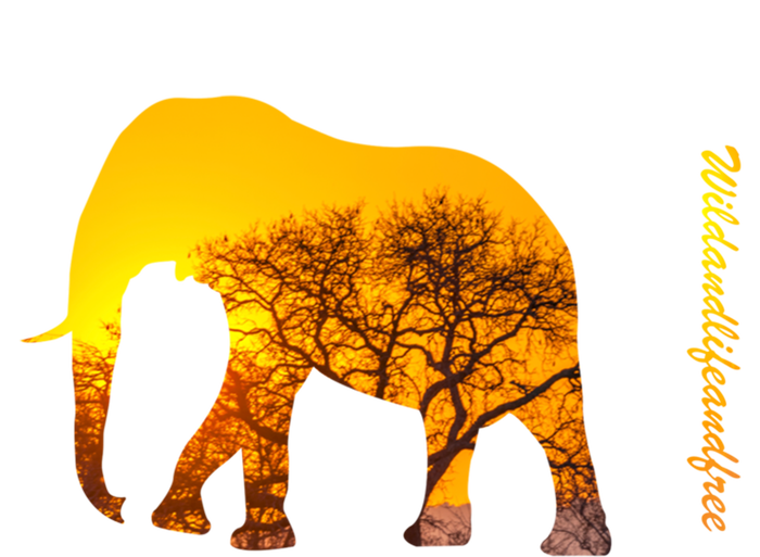 Elephant With Sunset In Africa Wildlife Elephants Gift T-Shirt