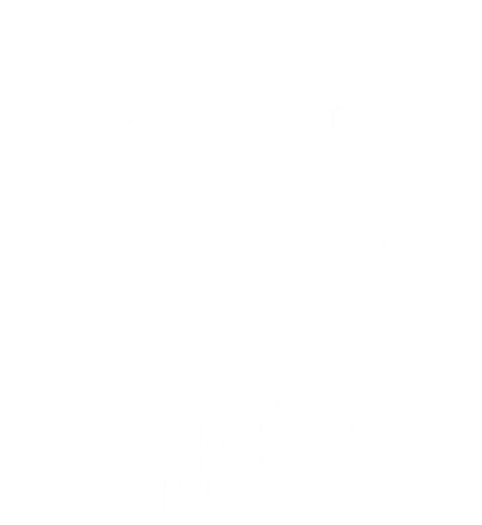 Fun Inspirational Tee Sweet Land Of Liberty Usa Pride Great Gift Sustainable Beanie