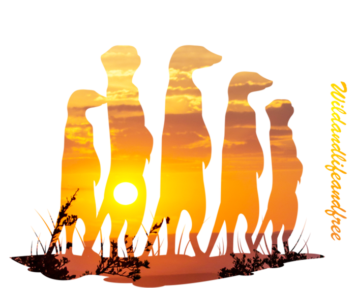 Meerkat Group With Sunset Wildlife Meerkat Cute Gift T-Shirt