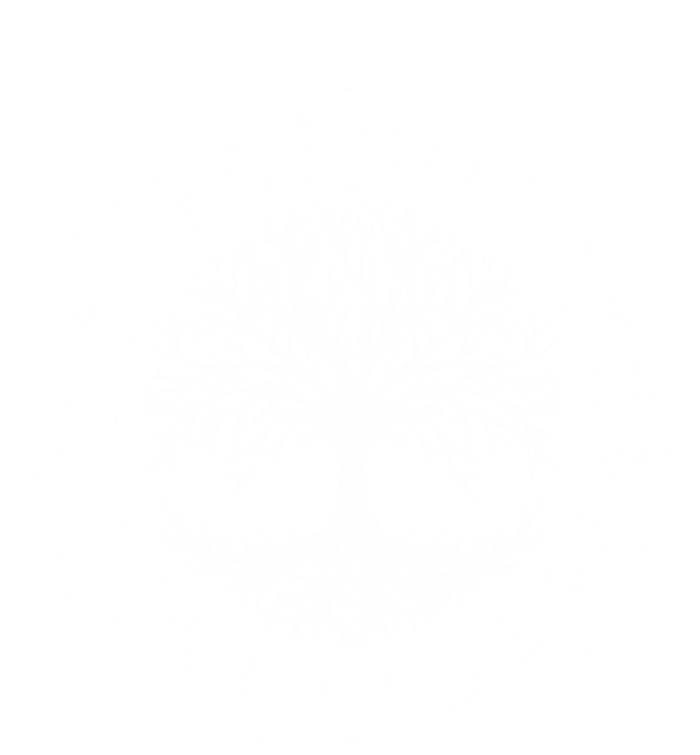 Celtic Tree Of Life Runes Viking Yggdrasil Nordic Symbol Gift T-Shirt