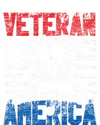 Veteran Of The United States Of America Veterans Day Gift T-Shirt