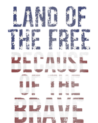 Veteran's Day Land Of Free Because Of Brave American Flag Gift Women's V-Neck T-Shirt