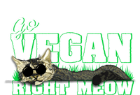 Cat Lover Go Vegan Right Meow Gift Kids T-Shirt