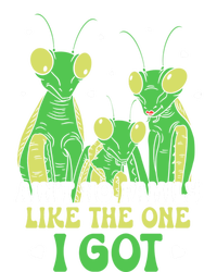 Funny Aint No Family Like The One I Got T-Shirt