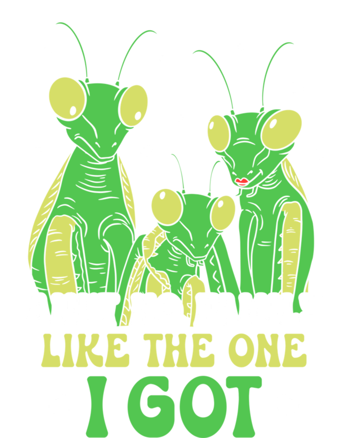 Funny Aint No Family Like The One I Got T-Shirt