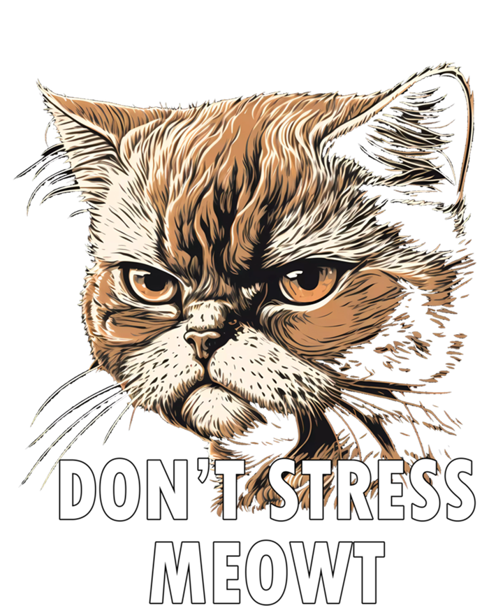 Grumpy Funny Cat Dont Stress Meowt Silly Cats Lover Great Gift T-Shirt