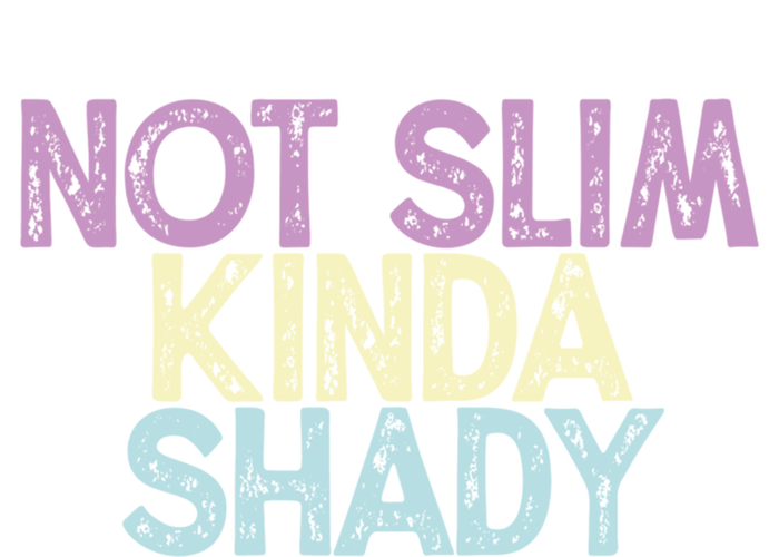 Vintage Funny Not Slim Kinda Shady Gift T-Shirt