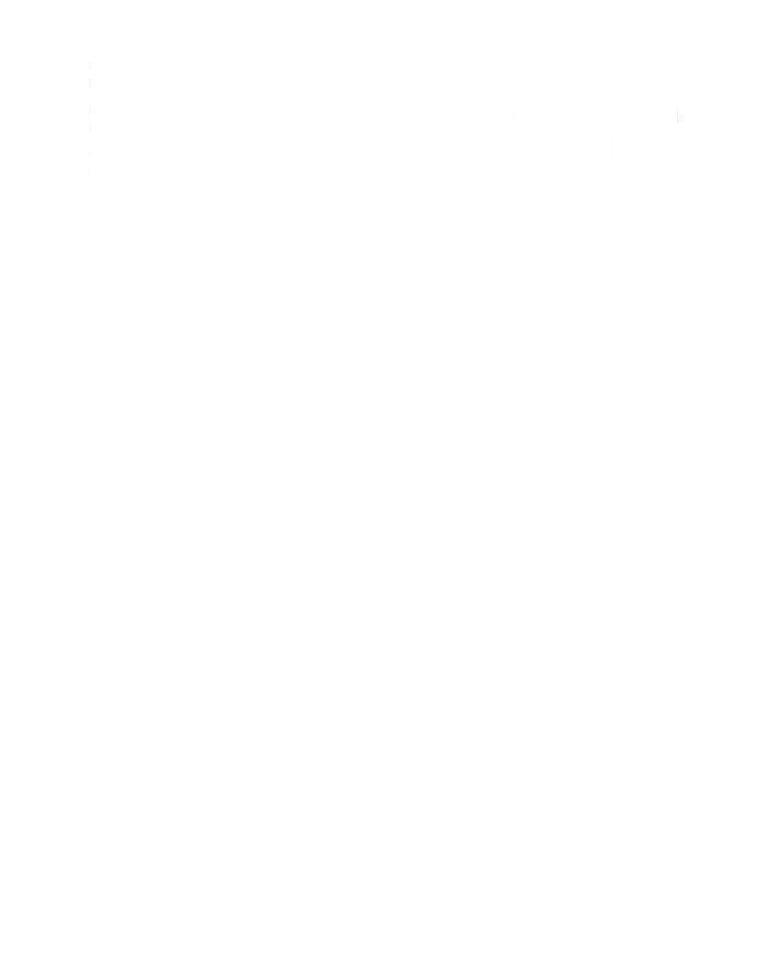 Life Behind Bars Great Gift Bmx Gift Meaningful Gift T-Shirt