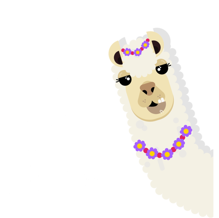 No Probgreat Giftllama Fun Face Alpaca Trending Funny Farm Animal Gift T-Shirt