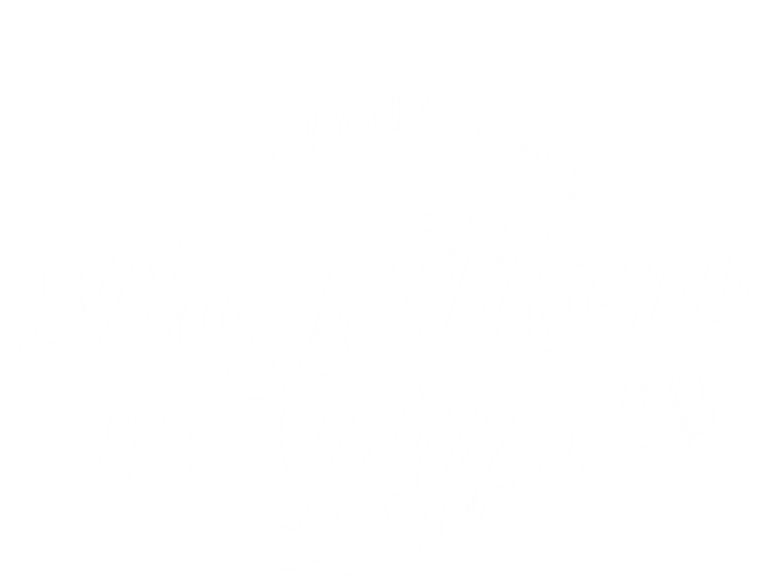 Livin The Dog Mom Life Meaningful Gift Insulated Varsity Jacket