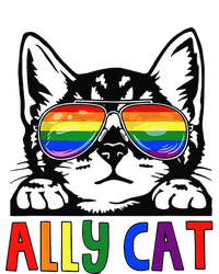 LGBT Ally Cat Be Kind Gay Rainbow Funny LGBTQ Gift Idea T-Shirt