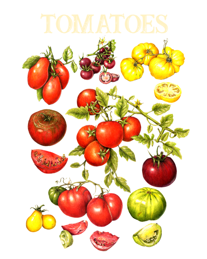 Tomatoes Funny Gardener Garden Gardening Tomato Botanical Meaningful Gift T-Shirt