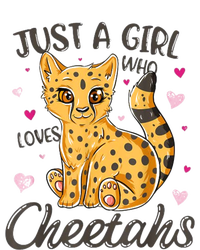 Just A Girl Who Loves Cheetahs Women Cheetah Cat Lover Gift T-Shirt