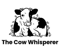 The Cow Whisperer Cute Black And White Resting Cow T-Shirt