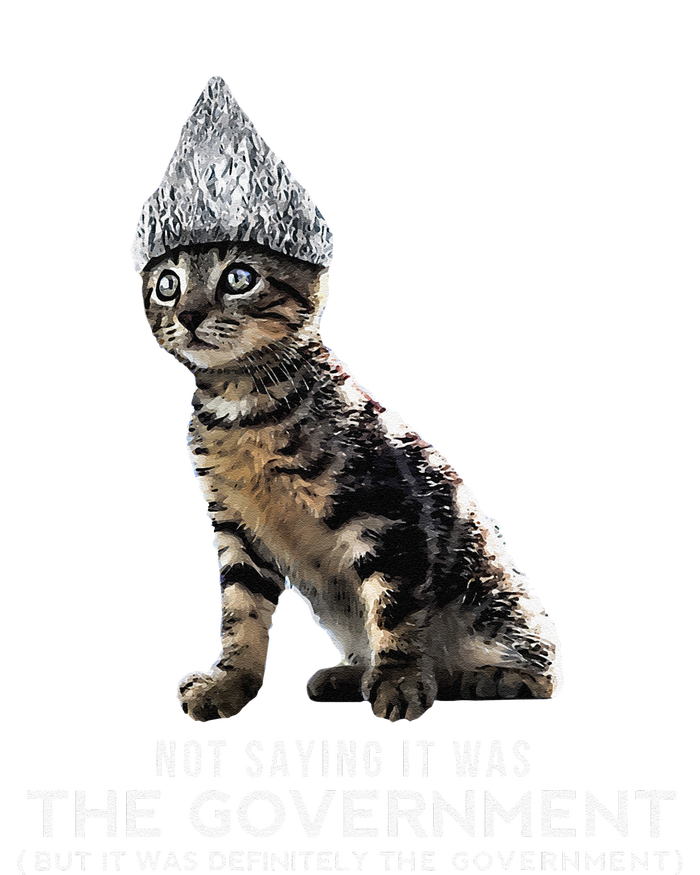 Funny Conspiracy Cat Tin Foil Hat Government Gift Sustainable Beanie