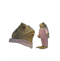 What Is Even Happening Frog Gift T-Shirt