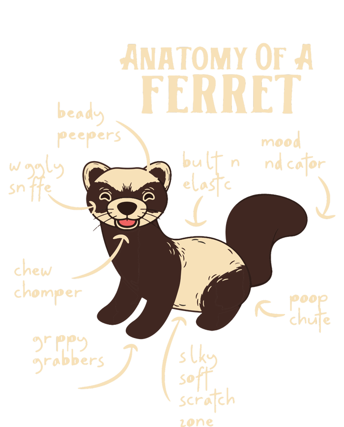 Ferret Anatomy Funny Animal Lover Polecat Paw Pet Owner Gift Women's Crop Top Tee