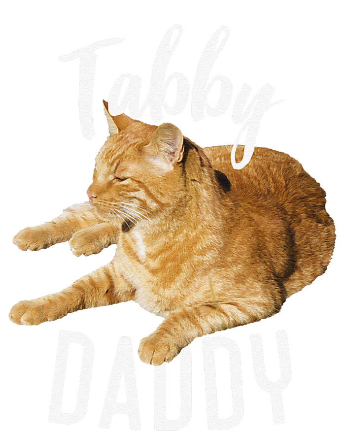 Tabby Daddy Cat Lover Funny Saying Graphic Gift Tall Long Sleeve T-Shirt