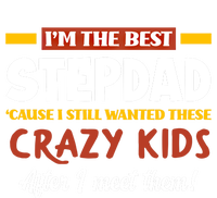 Im The Best Stepdad Father In Law Funny Stepgiftfather Gift T-Shirt