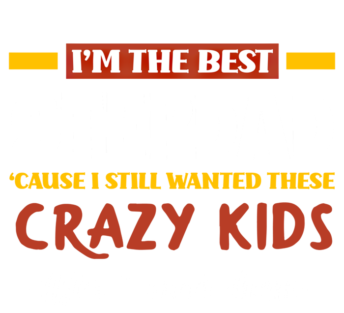 Im The Best Stepdad Father In Law Funny Stepgiftfather Gift T-Shirt