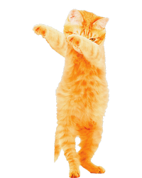 Dabbing Cat Kitten Funny Dab Dance Kitty Funny Gift T-Shirt