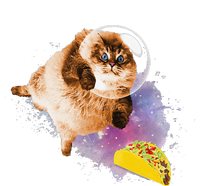 Taco Cat Funny Taco Cat In Space Taco Cat T-Shirt