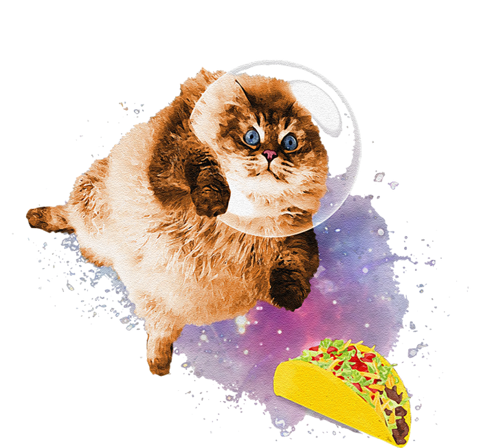 Taco Cat Funny Taco Cat In Space Taco Cat T-Shirt