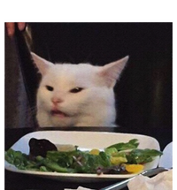 Dinner Table Cat Meme Funny Internet Yelling Confused Gift Magnet