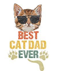 Vintage Best Cat Dad Ever Cat Kitten Daddy Gift Sustainable Beanie