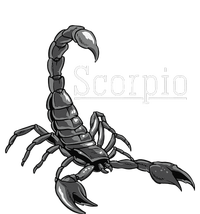 Zodiac Sign Scorpio Astrologist Gift Idea Scorpio Toddler Fine Jersey T-Shirt