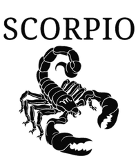 Scorpio Astrology Large Scorpion Zodiac Sign & Scorpio Name T-Shirt