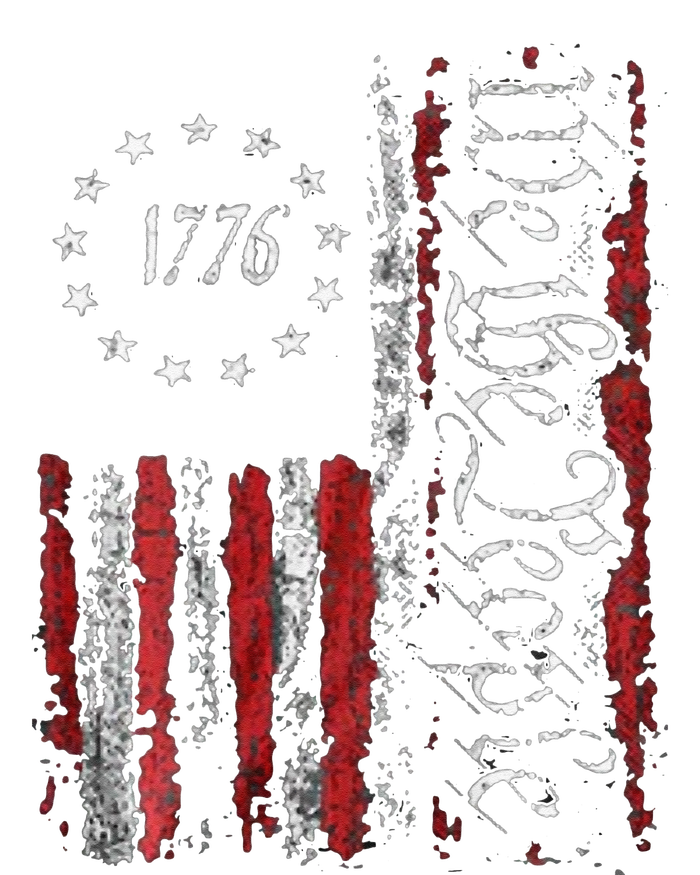 American Flag Patriotic 1776 We The People USA Print T-Shirt