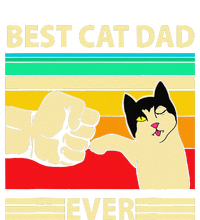 Best Cat Dad Ever Funny Cat Daddy Father Day Gift Sustainable Beanie