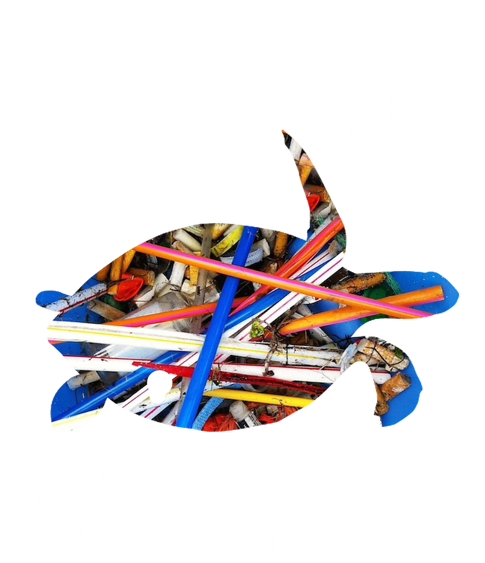 Turtles Are Great Skip A Straw And Save One Gift Idea Gift T-Shirt