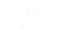 I Tolerate You Funny Valentines Day Gift Sweatshirt