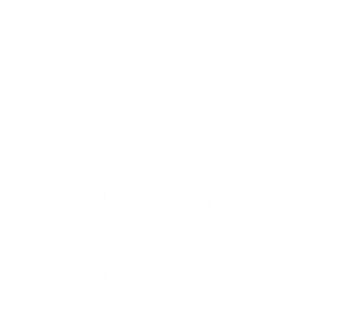 308 Because Rocks Arent Effective At 700 Meters Women's T-Shirt