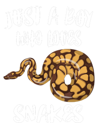 Just A Boy Who Loves Snakes Animal T-Shirt