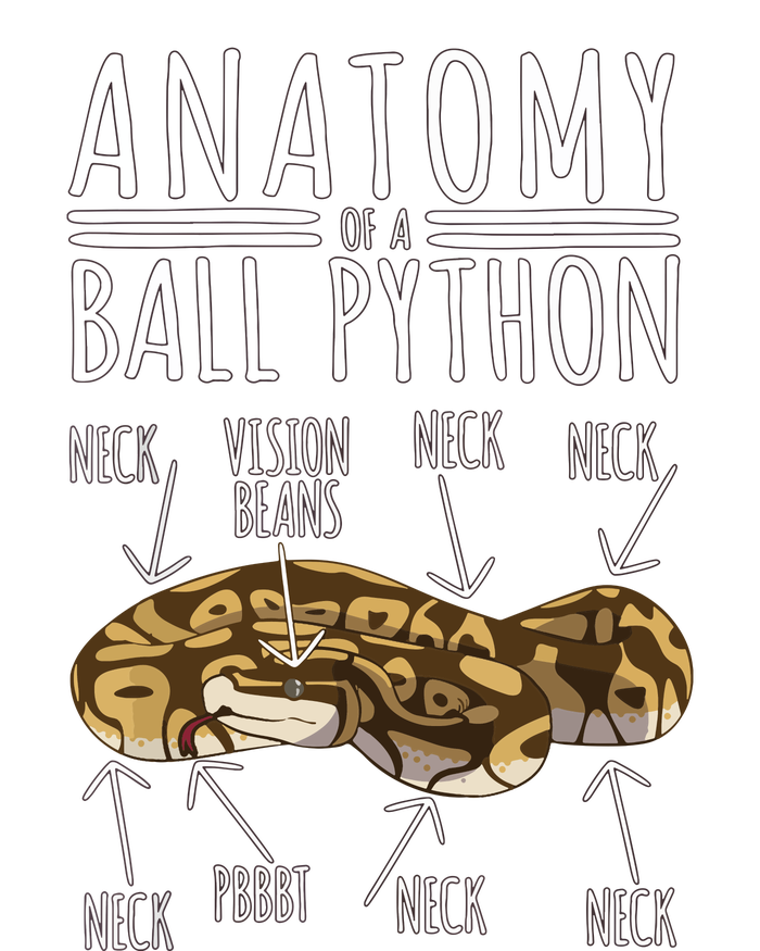 Python Snake Owner Anatomy Of A Ball Python Grommeted Golf Towel