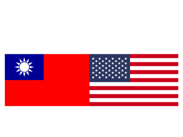 Proud To Be Taiwanese American Gift T-Shirt