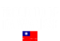 Proud To Be Taiwanese Taiwan Flag Great Gift V-Neck T-Shirt