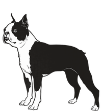 Boston Terrier Dog Breed Gift For Any Animal Fan T-Shirt