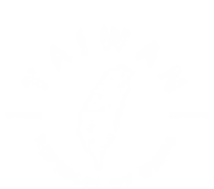 Taiwan Graphic Vintage Funny Gift T-Shirt