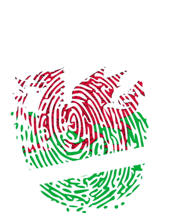 Welsh Flag Its In My Dna Cool Gift T-Shirt