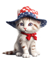 American Cat 4th Of July Cat Patriotic Cats Maine Coon Kitten Kids Hoodie